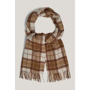 ŠÁLA GANT CHECK SCARF CUMIN BEIGE obraz