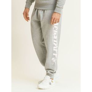 Gray sweatpants obraz