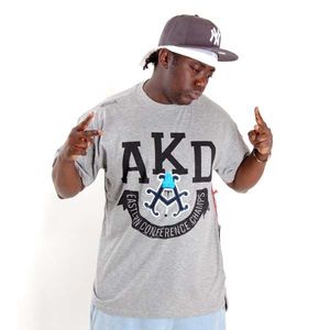 Akademiks Royal Tee Grey obraz