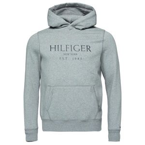 Tommy Hilfiger pánská šedá mikina Hoody obraz