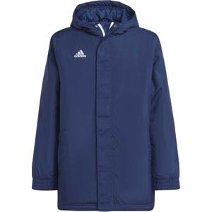 Juniorská bunda Adidas obraz