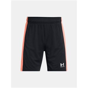 Chlapecké kraťasy Under Armour UA B's Ch. Knit Short obraz