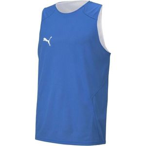 Puma DACH PRACTISE JERSEY Oboustranný pánský dres, modrá, velikost obraz