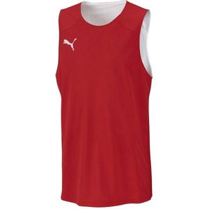 Puma DACH PRACTISE JERSEY Oboustranný pánský dres, červená, velikost obraz