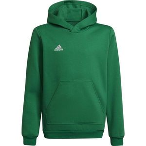 adidas ENTRADA 22 SWEAT HOODIE Juniorská fotbalová mikina, zelená, velikost obraz