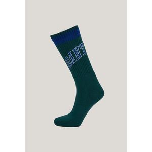 PONOŽKY GANT GANT 1949 SPORT SOCKS DEEP FOREST obraz