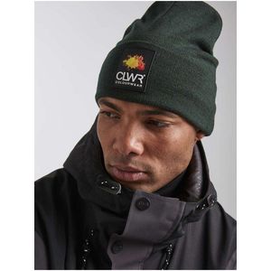 unisex kulich COLOURWEAR Puppet Beanie tmavě zelený obraz