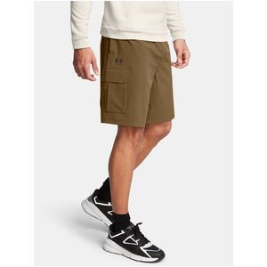 Pánské kraťasy Under Armour UA Vibe Woven Cargo Short obraz