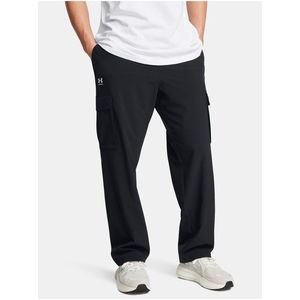 Pánské sportovní kalhoty Under Armour UA Vibe Woven Cargo Pants obraz