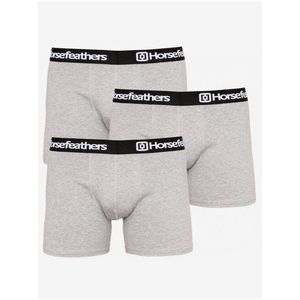 3PACK pánské boxerky Horsefeathers Dynasty heather gray obraz