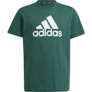 adidas ESSENTIALS BIG LOGO T-SHIRT Juniorské tričko, tmavě zelená, velikost obraz