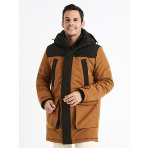 Celio Cubicol Parka Hnědá obraz