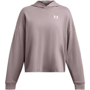 Under Armour Terry Mikina Šedá obraz