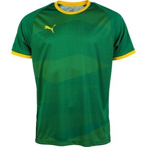 Puma KC LIGA JERSEY GRAPHIC Pánský fotbalový dres, zelená, velikost obraz