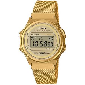 Casio Collection Retro Vintage A171WEMG-9AEF (007) obraz