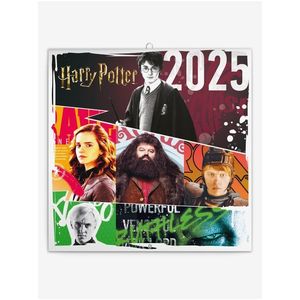 NOTIQUE Poznámkový kalendář Harry Potter 2025, 30 x 30 cm obraz