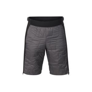 Pánské kraťasy s membránou ALPINE PRO CORAL dk.true gray obraz