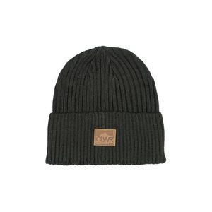 Unisex Kulich Colourwear Badge Beanie Tmavý Khaki obraz