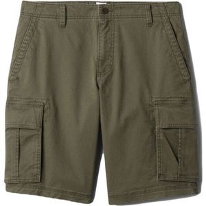 GAP V-11IN CARGO Pánské kraťasy, khaki, velikost obraz