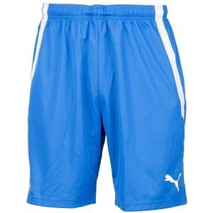 Puma TEAM LIGA SHORTS FK MLADÁ BOLESLAV JR Dětské šortky, modrá, velikost obraz