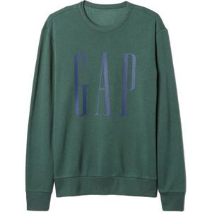 GAP FLEECE Pánská mikina, zelená, velikost obraz