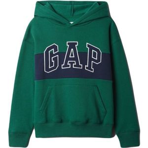 GAP V-FALL FASH LOGO Chlapecká mikina, zelená, velikost obraz