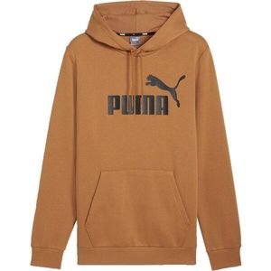 Puma Logo Hoodie obraz