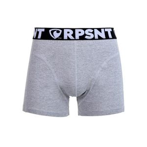 Pánské trenky EXCLUSIVE SPORT GREY Represent obraz