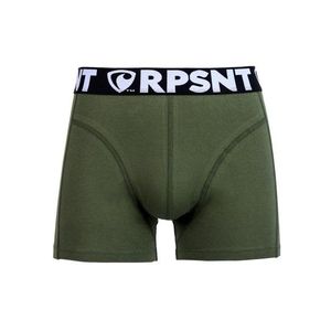 Pánské trenky EXCLUSIVE SPORT GREEN Represent obraz