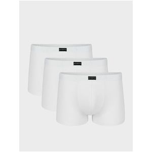 Pánské boxerky ATLANTIC 3Pack obraz