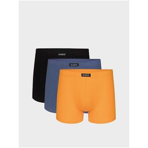 Pánské sportovní boxerky ATLANTIC 3Pack obraz