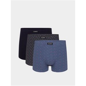 Pánské boxerky ATLANTIC 3Pack obraz