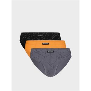 Pánské sportovní slipy ATLANTIC 3Pack obraz