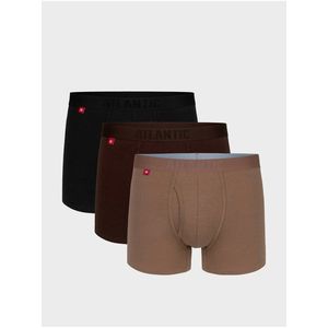 Pánské boxerky ATLANTIC 3Pack obraz