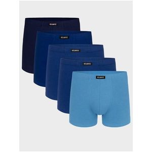 Pánské boxerky ATLANTIC 5Pack obraz