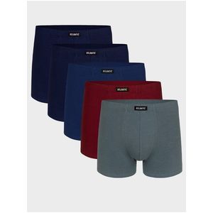 Pánské boxerky ATLANTIC 5Pack obraz