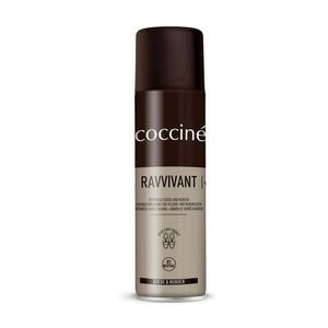 Péče o obuv Coccine COCCINE RAVVIVANT SPRAY 250 obraz