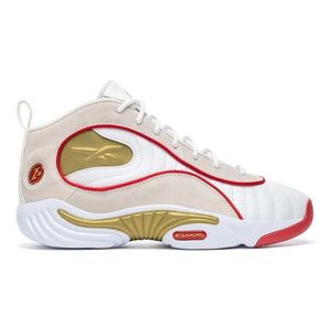 Sportovní Reebok ANSWER III 100200996 obraz