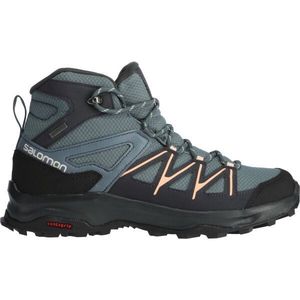 Salomon DAINTREE MID GTX W Dámská turistická obuv, šedá, velikost 41 1/3 obraz