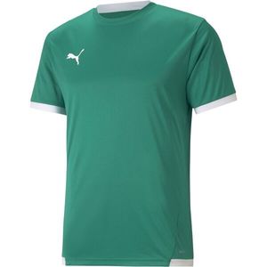 Puma TEAM LIGA JERSEY TEE Pánské fotbalové triko, zelená, velikost obraz