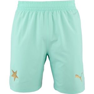 Puma SKS SHORTS PROMO Pánské fotbalové šortky, tyrkysová, velikost obraz