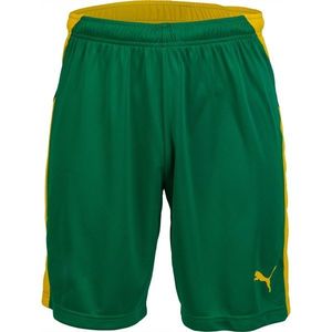 Puma KC LIGA SHORTS Pánské fotbalové kraťasy, zelená, velikost obraz