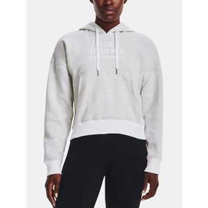 Under Armour Essential Script Hoodie Mikina Šedá obraz