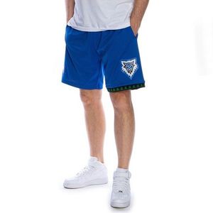 Mitchell & Ness shorts Minnesota Timberwolves royal Swingman Shorts obraz