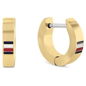 Tommy Hilfiger Pozlacené kruhové náušnice Men`s Earrings 2790586 obraz