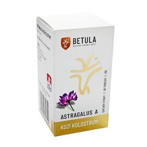 Betula pendula Astragalus a kozí kolostrum 60 tob. obraz