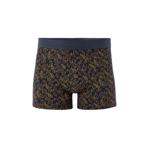 Celio Jibofall Boxerky Modrá obraz