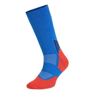 Ponožky Reebok R0417-SS24 (1-PACK) obraz