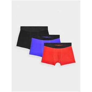 Chlapecké boxerky (3-pack) 4F obraz