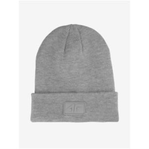 Čepice beanie unisex 4F obraz